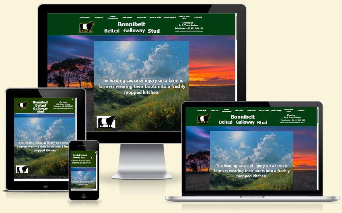 Screenshot of a local trade services website layout
