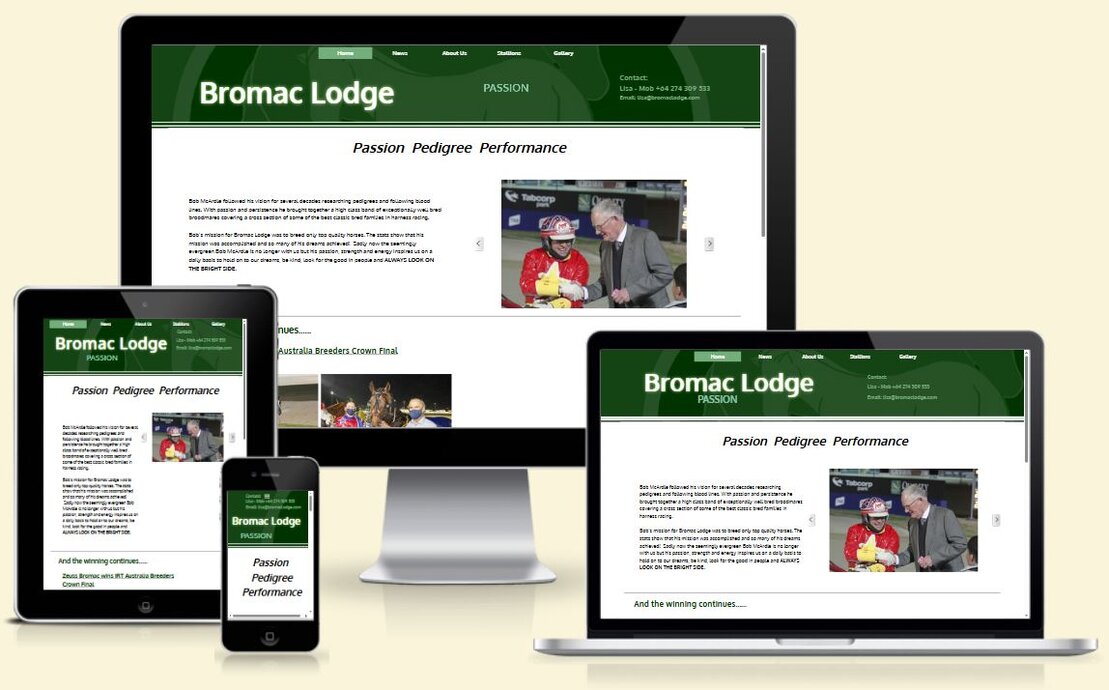 Screenshot of a local trade services website layout