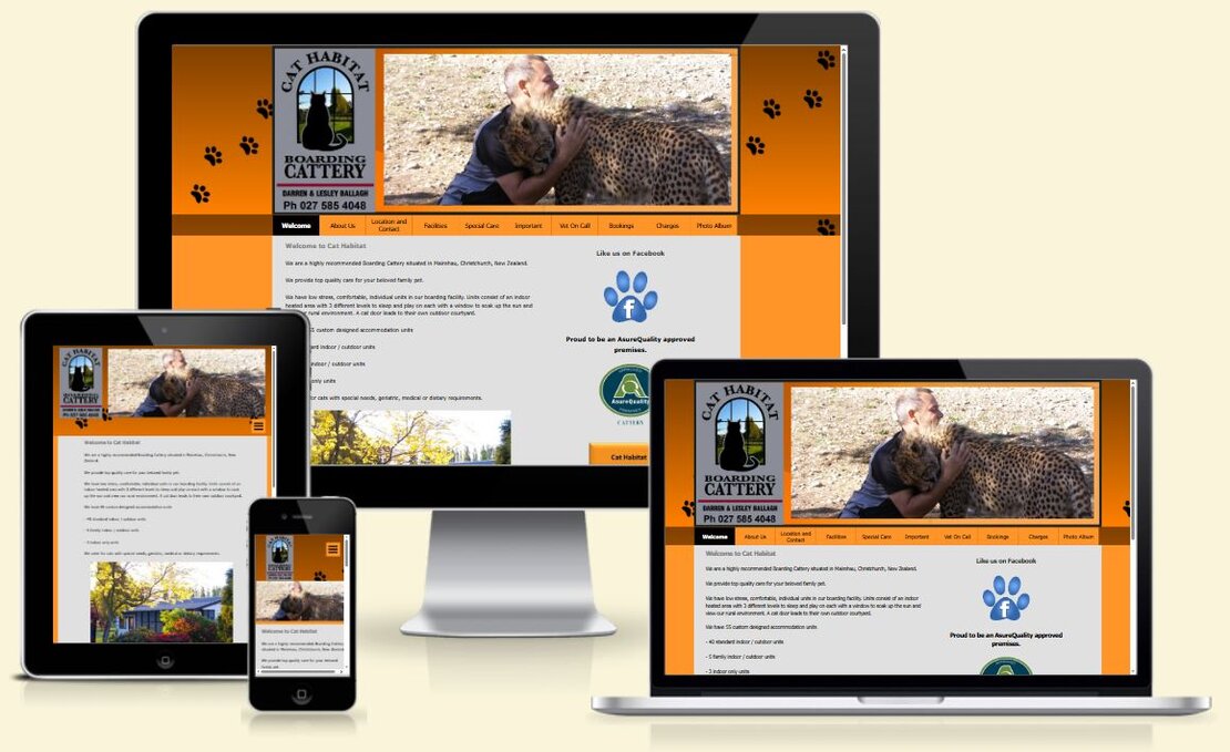 Screenshot of a local trade services website layout