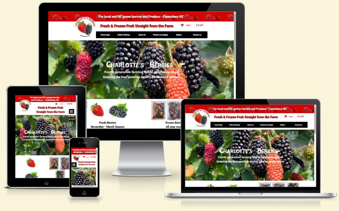 Screenshot of a local trade services website layout