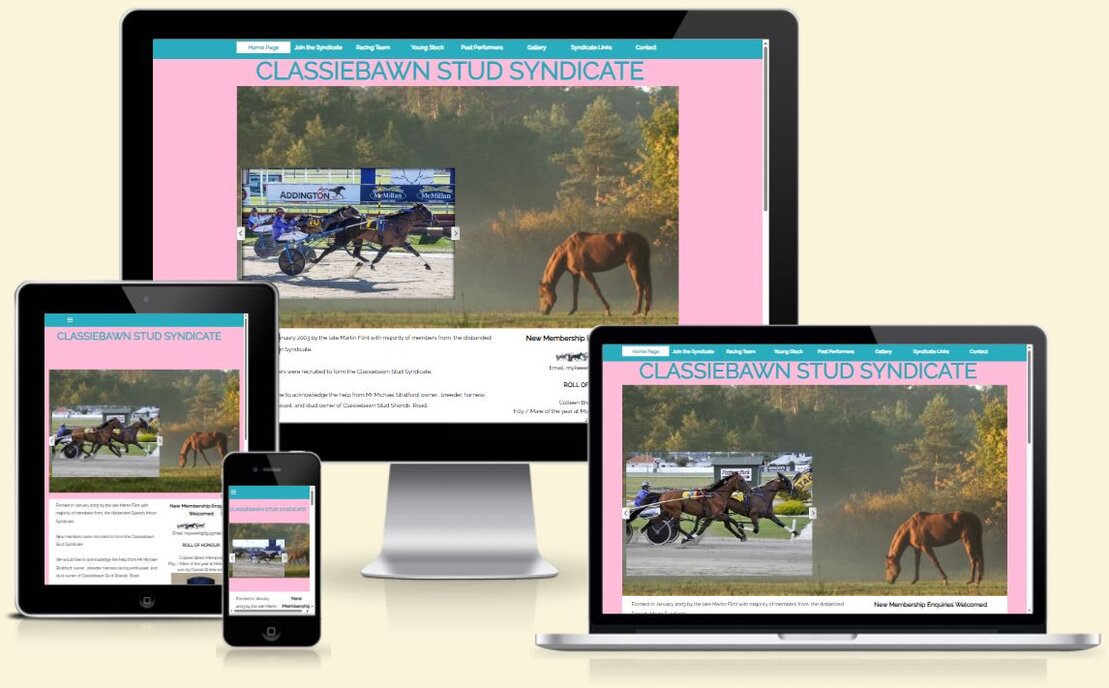 Screenshot of a local trade services website layout