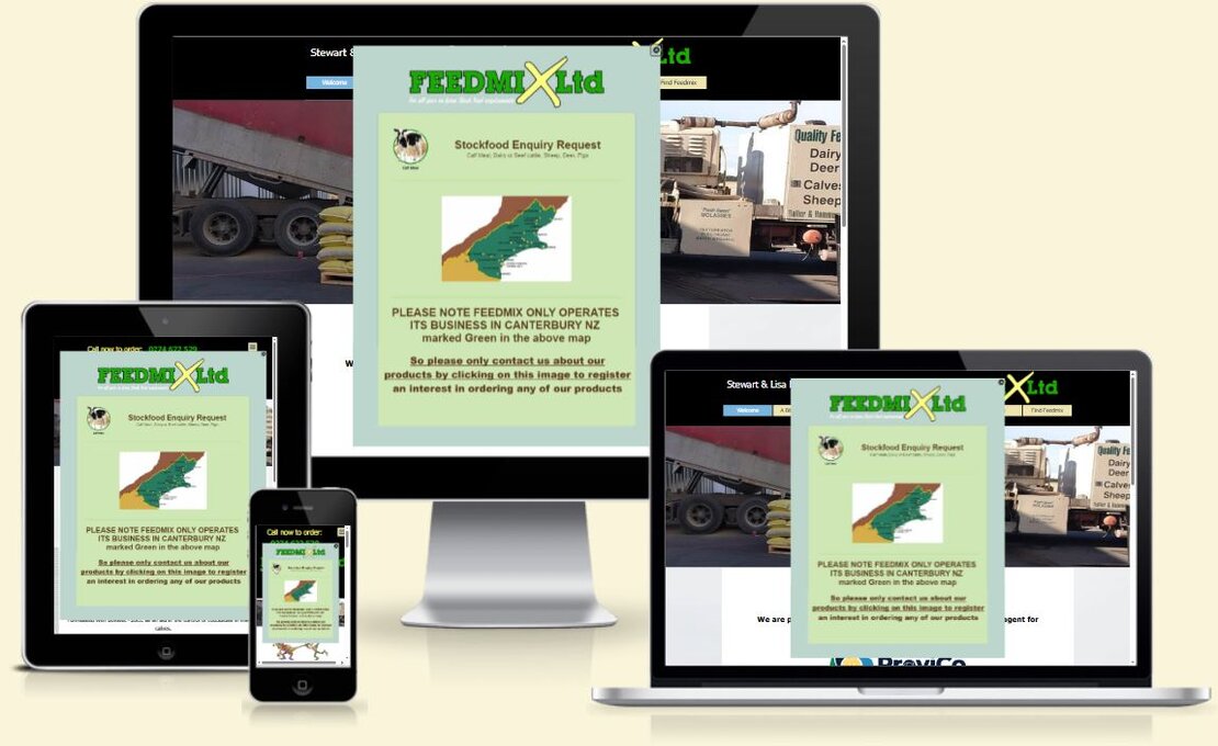 Screenshot of a local trade services website layout