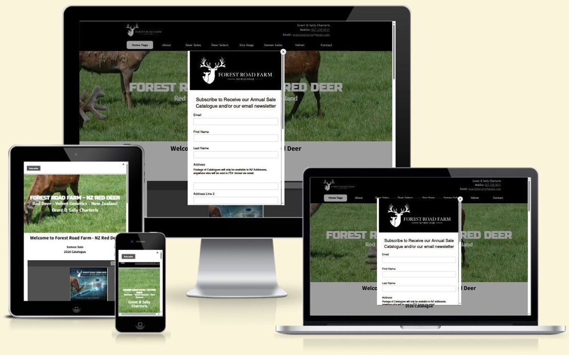 Screenshot of a local trade services website layout