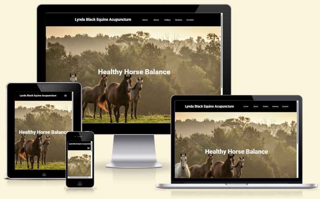 Screenshot of a local trade services website layout
