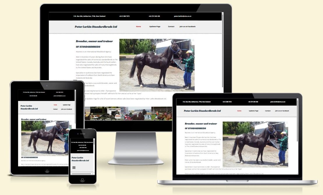 Screenshot of a local trade services website layout