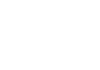 dsh Design Logo - white